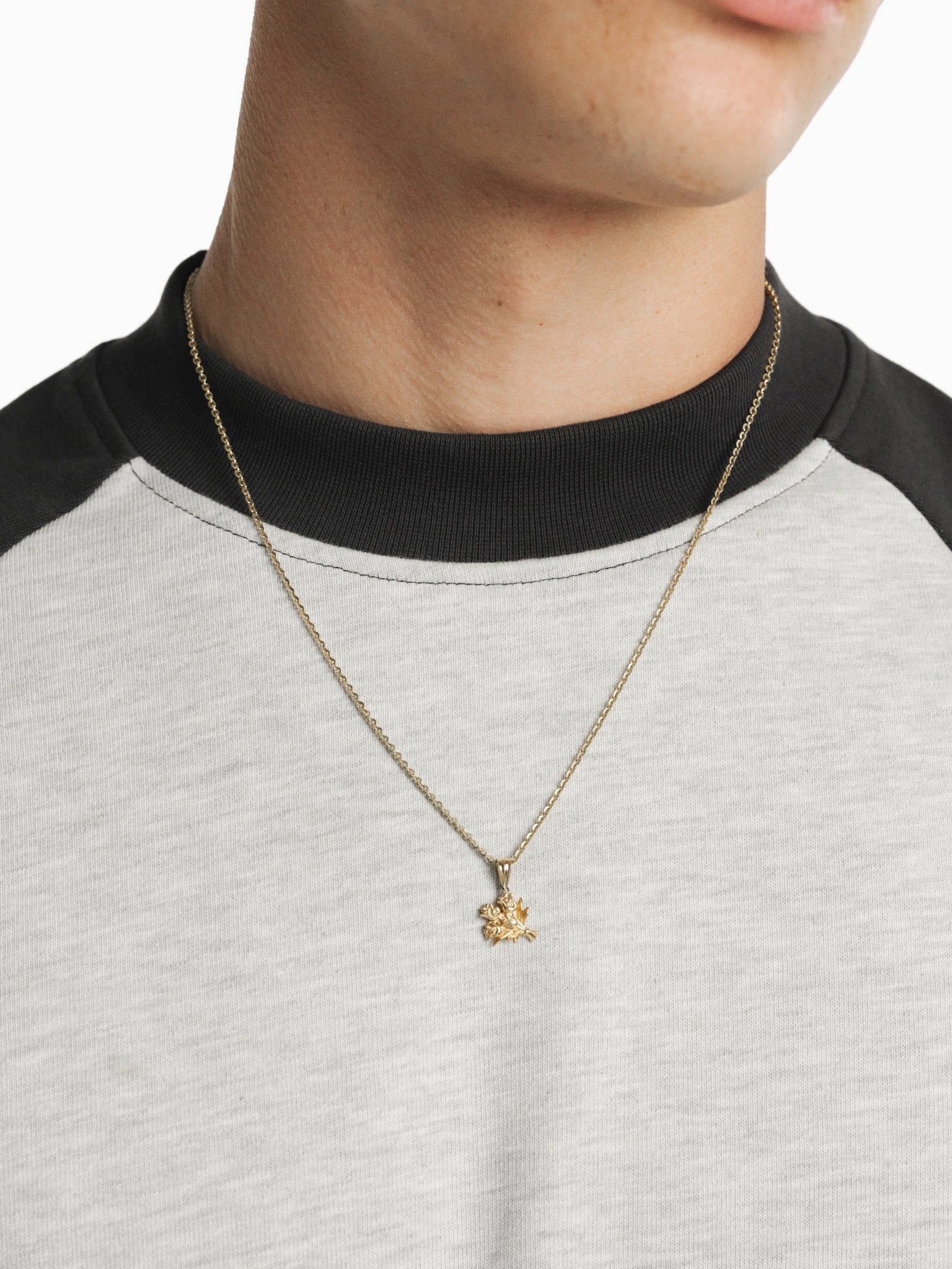 RAGLAN SS T-SHIRT - ARCTYC/GRANITE